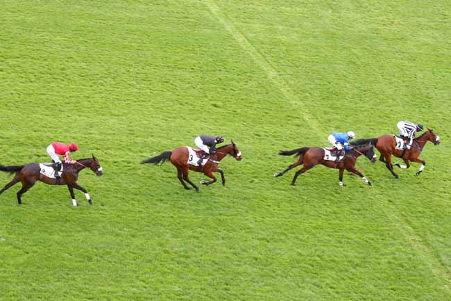 Photo d'arrivée de la course pmu PRIX D'ANGERS à AUTEUIL le Mardi 8 septembre 2026
