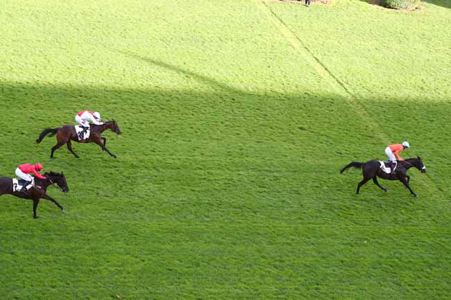 Photo d'arrivée de la course pmu PRIX FORTIFICATIONS à AUTEUIL le Mardi 8 septembre 2026