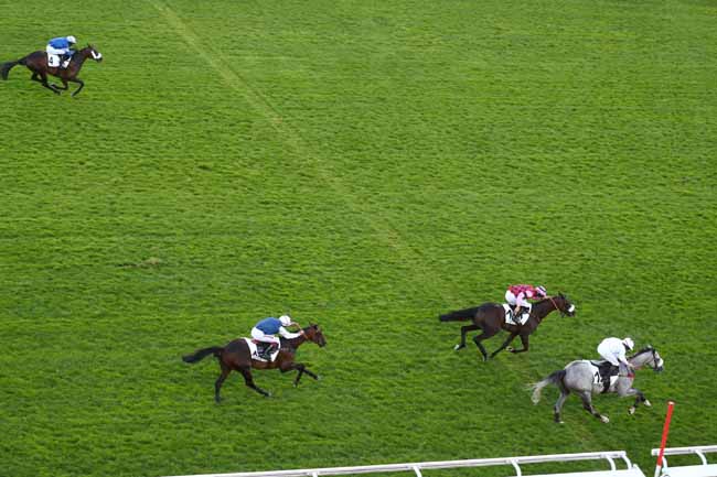 Photo d'arrivée de la course pmu PRIX MORTEMART à AUTEUIL le Mardi 8 septembre 2026