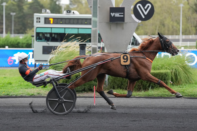 Photo d'arrivée de la course pmu PRIX ERATO à PARIS-VINCENNES le Mardi 8 septembre 2026