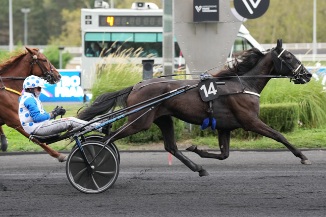 Photo d'arrivée de la course pmu PRIX DE BASTIA à PARIS-VINCENNES le Mardi 8 septembre 2026