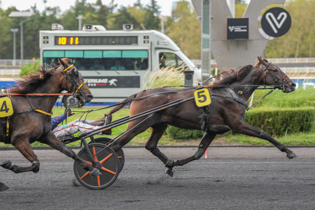Photo d'arrivée de la course pmu PRIX DE NUEIL-SUR-LAYON à PARIS-VINCENNES le Mardi 8 septembre 2026