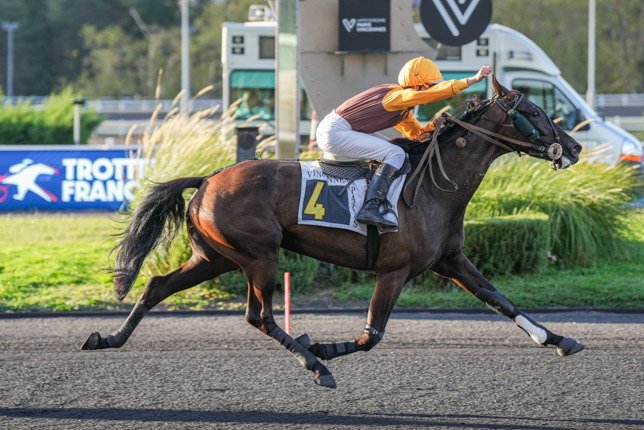 Photo d'arrivée de la course pmu PRIX MUSCA à PARIS-VINCENNES le Mardi 8 septembre 2026