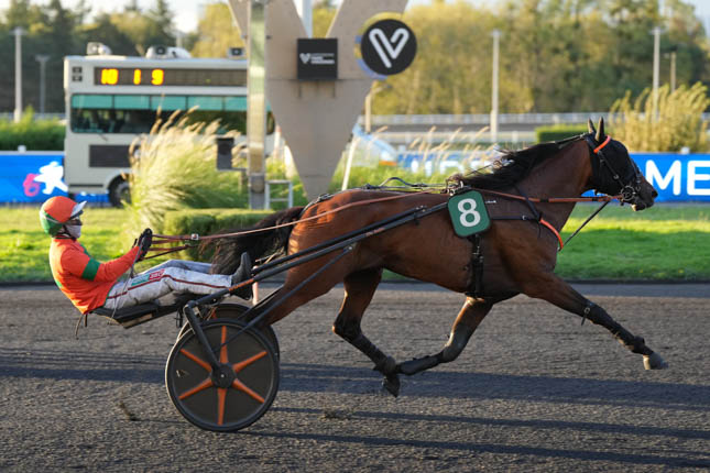 Photo d'arrivée de la course pmu PRIX BERTHA à PARIS-VINCENNES le Mardi 8 septembre 2026