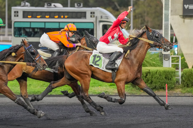 Photo d'arrivée de la course pmu PRIX MENKAR à PARIS-VINCENNES le Mardi 8 septembre 2026