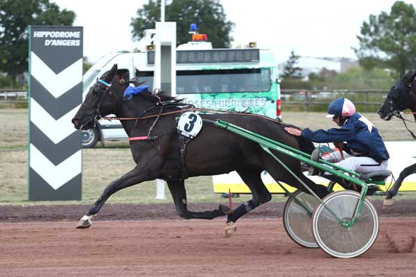 Photo d'arrivée de la course pmu PRIX AU BEAU REPAIRE à ANGERS le Mercredi 9 septembre 2026