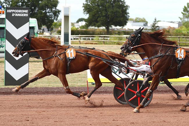 Photo d'arrivée de la course pmu PRIX D'ECOUFLANT à ANGERS le Mercredi 9 septembre 2026