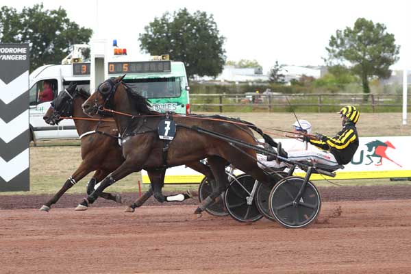 Photo d'arrivée de la course pmu PRIX DESTINATION ANGERS à ANGERS le Mercredi 9 septembre 2026