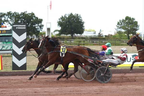 Photo d'arrivée de la course pmu PRIX DE VERRIERES-EN-ANJOU à ANGERS le Mercredi 9 septembre 2026