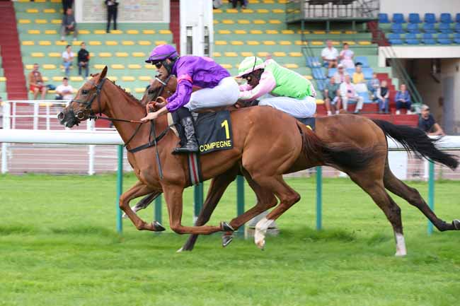 Photo d'arrivée de la course pmu PRIX PETIT BOB à COMPIEGNE le Mercredi 9 septembre 2026