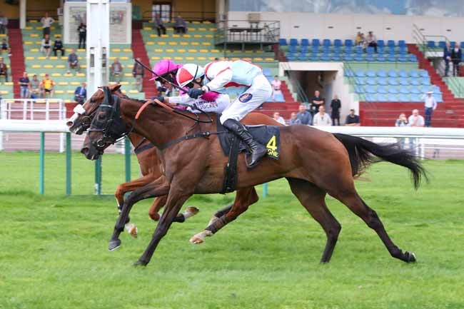 Photo d'arrivée de la course pmu PRIX DE RANVILLE à COMPIEGNE le Mercredi 9 septembre 2026