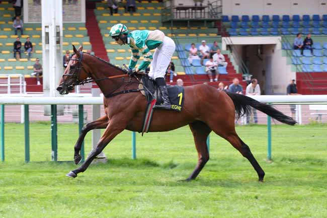 Photo d'arrivée de la course pmu PRIX DE PORNIC à COMPIEGNE le Mercredi 9 septembre 2026
