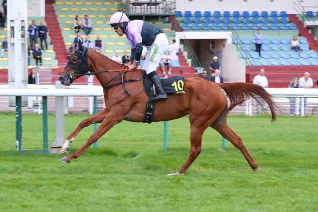 Photo d'arrivée de la course pmu PRIX SUMMIT à COMPIEGNE le Mercredi 9 septembre 2026