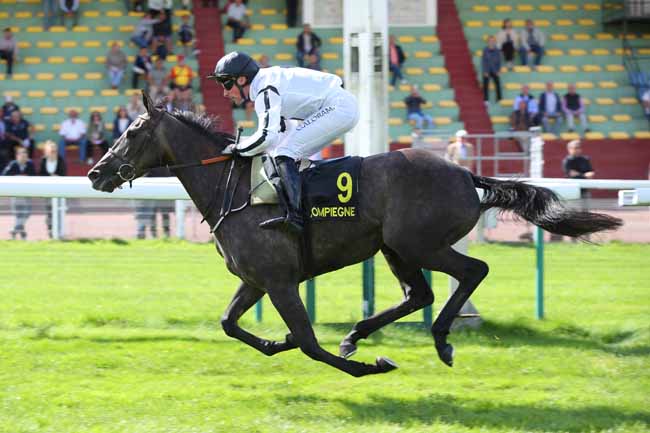 Photo d'arrivée de la course pmu PRIX ROMAN OAK à COMPIEGNE le Mercredi 9 septembre 2026
