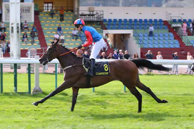 Photo d'arrivée de la course pmu PRIX THE STOMP à COMPIEGNE le Mercredi 9 septembre 2026