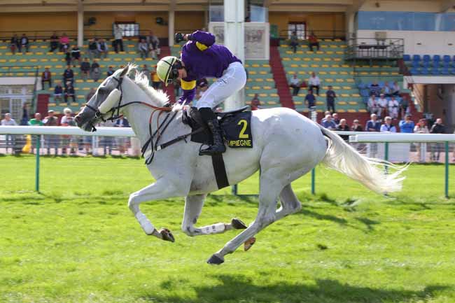 Photo d'arrivée de la course pmu PRIX WORLD CITIZEN à COMPIEGNE le Mercredi 9 septembre 2026
