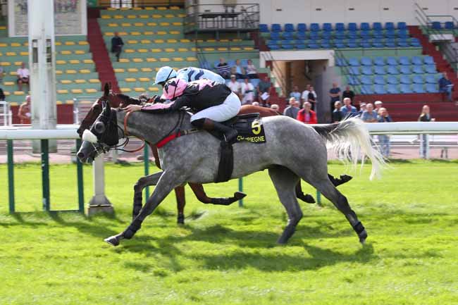 Photo d'arrivée de la course pmu PRIX NUAGE à COMPIEGNE le Mercredi 9 septembre 2026