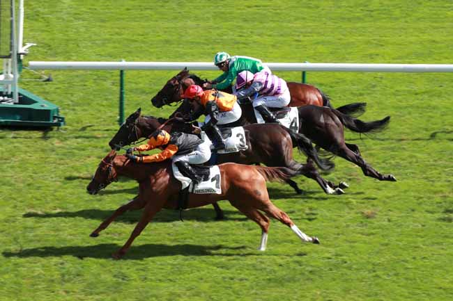 Photo d'arrivée de la course pmu PRIX DU PARC DES PRINCES à LONGCHAMP le Jeudi 10 septembre 2026