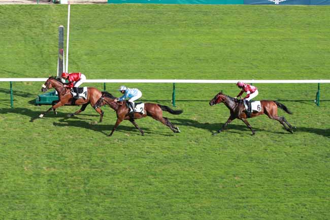 Photo d'arrivée de la course pmu GRAND PRIX DES ANGLO-ARABES à LONGCHAMP le Jeudi 10 septembre 2026