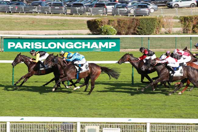 Photo d'arrivée de la course pmu PRIX DE LA COUR DU CHEMIN VERT à LONGCHAMP le Jeudi 10 septembre 2026