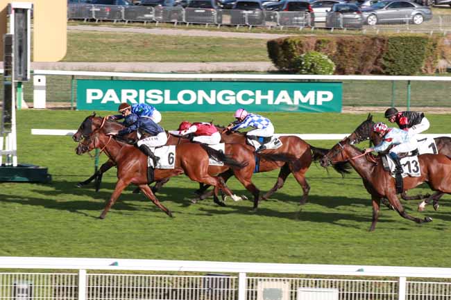 Photo d'arrivée de la course pmu PRIX DE SAINT-NICOLAS à LONGCHAMP le Jeudi 10 septembre 2026