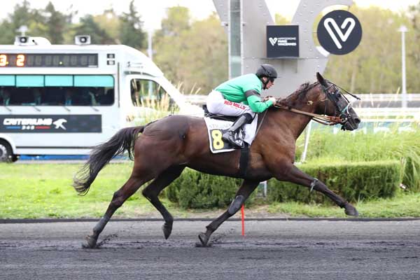 Photo d'arrivée de la course pmu PRIX BAUCIS à PARIS-VINCENNES le Vendredi 11 septembre 2026
