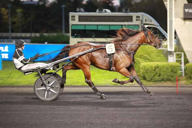 Arrivée quinté pmu PRIX ALGORAH à PARIS-VINCENNES