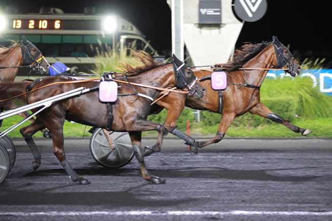 Photo d'arrivée de la course pmu PRIX CURSA à PARIS-VINCENNES le Vendredi 11 septembre 2026