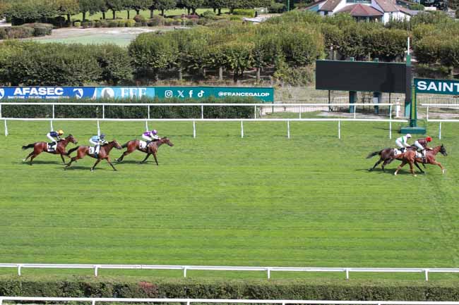 Photo d'arrivée de la course pmu PRIX ORTIE BLANCHE à SAINT CLOUD le Vendredi 11 septembre 2026