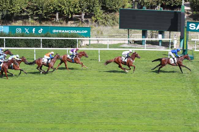 Photo d'arrivée de la course pmu PRIX BEND'OR à SAINT CLOUD le Vendredi 11 septembre 2026