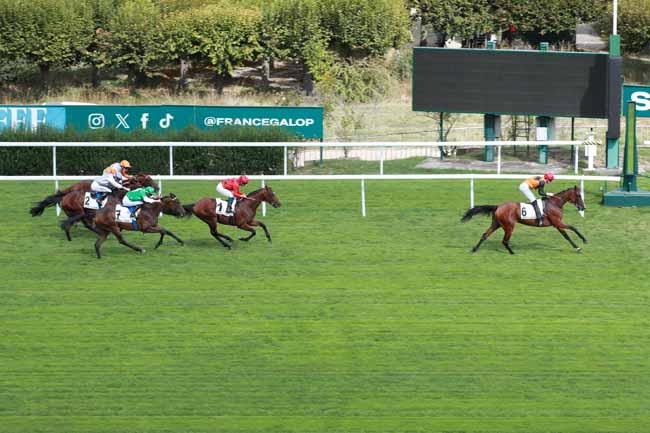 Photo d'arrivée de la course pmu PRIX TURENNE à SAINT CLOUD le Vendredi 11 septembre 2026
