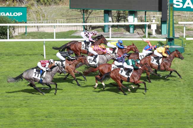 Photo d'arrivée de la course pmu PRIX FITERARI à SAINT CLOUD le Vendredi 11 septembre 2026