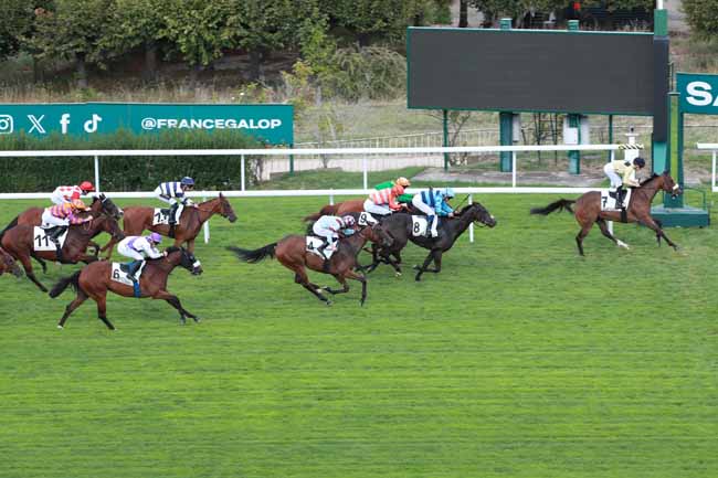 Photo d'arrivée de la course pmu PRIX DU LIEU FERAL à SAINT CLOUD le Vendredi 11 septembre 2026
