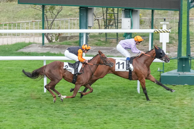 Photo d'arrivée de la course pmu PRIX DU LIEU DIEU à SAINT CLOUD le Vendredi 11 septembre 2026