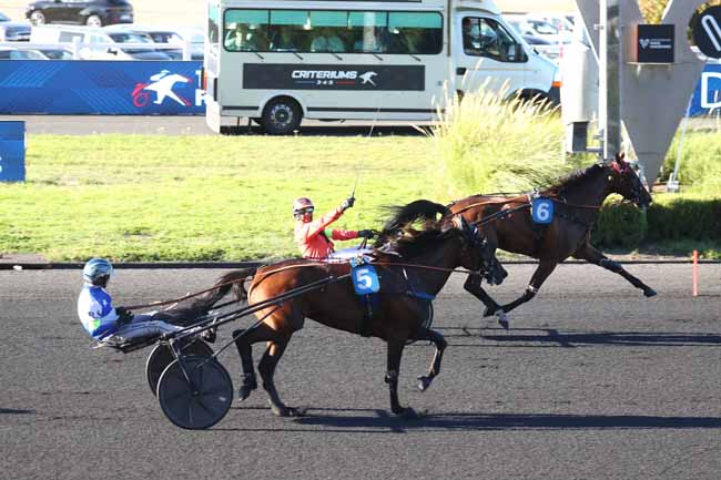 Photo d'arrivée de la course pmu PRIX FEDERATION FRANCAISE DE LA RECONVERSION à PARIS-VINCENNES le Samedi 12 septembre 2026