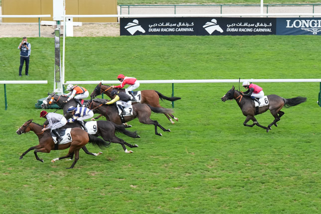 Photo d'arrivée de la course pmu PRIX DE L'HOTEL DU CHEVALIER-DU-GUET à LONGCHAMP le Dimanche 13 septembre 2026