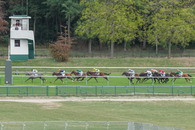 Photo d'arrivée de la course pmu PRIX DU PETIT COUVERT à LONGCHAMP le Dimanche 13 septembre 2026