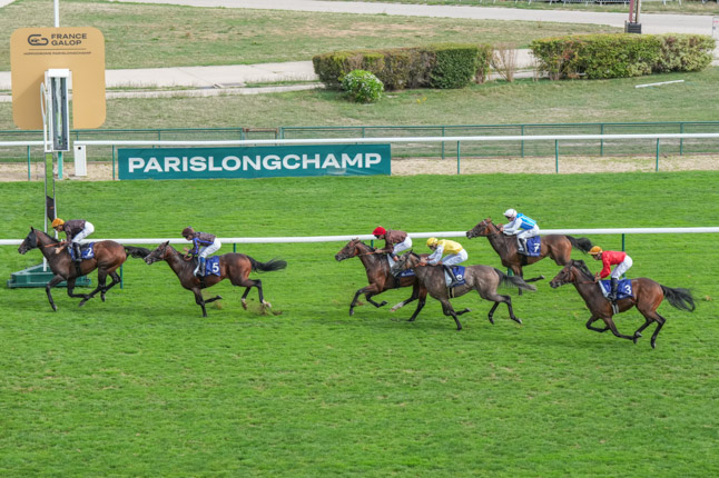 Photo d'arrivée de la course pmu DUBAI RACING CARNIVAL PRIX DU PIN à LONGCHAMP le Dimanche 13 septembre 2026