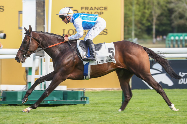 Photo d'arrivée de la course pmu PRIX DU PRINCE D'ORANGE à LONGCHAMP le Dimanche 13 septembre 2026