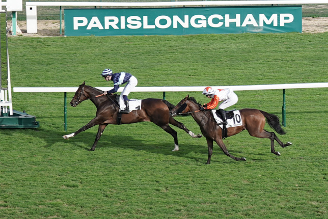 Photo d'arrivée de la course pmu PRIX DU LAC à LONGCHAMP le Dimanche 13 septembre 2026