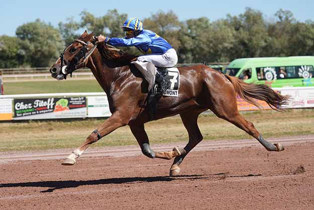 Photo d'arrivée de la course pmu PRIX «LA DEPECHE DU MIDI» à BEAUMONT DE LOMAGNE le Lundi 14 septembre 2026