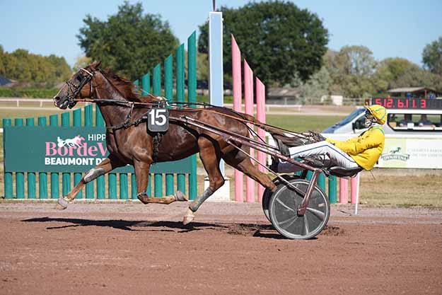 Photo d'arrivée de la course pmu PRIX DE L'HIPPODROME D'AGEN-LE PASSGE à BEAUMONT DE LOMAGNE le Lundi 14 septembre 2026