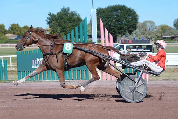 Photo d'arrivée de la course pmu PRIX DE L'HIPPODROME DE BORDEAUX - LE BOUSCAT à BEAUMONT DE LOMAGNE le Lundi 14 septembre 2026