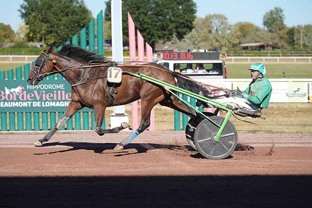 Photo d'arrivée de la course pmu PRIX CHAMBRE DES EXPERTS COMPTABLES DU 82 à BEAUMONT DE LOMAGNE le Lundi 14 septembre 2026