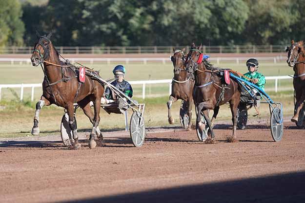 Photo d'arrivée de la course pmu PRIX DE L'HIPPODROME DE TOULOUSE - LA CEPIERE à BEAUMONT DE LOMAGNE le Lundi 14 septembre 2026