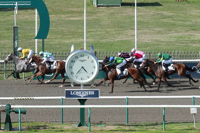 Photo d'arrivée de la course pmu PRIX DU CANAL DES MORFONDUS à CHANTILLY le Lundi 14 septembre 2026