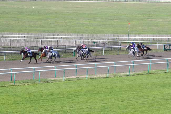 Photo d'arrivée de la course pmu PRIX DU CANAL SAINT-JEAN à CHANTILLY le Lundi 14 septembre 2026