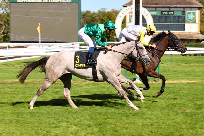 Photo d'arrivée de la course pmu PRIX DES VINEUX à COMPIEGNE le Mardi 15 septembre 2026