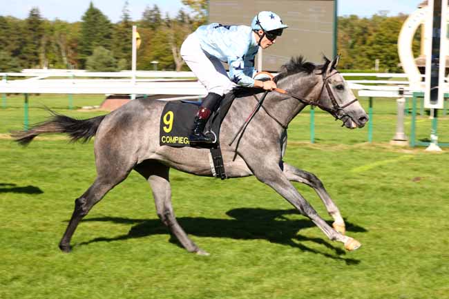 Photo d'arrivée de la course pmu PRIX DE CARLEPONT à COMPIEGNE le Mardi 15 septembre 2026