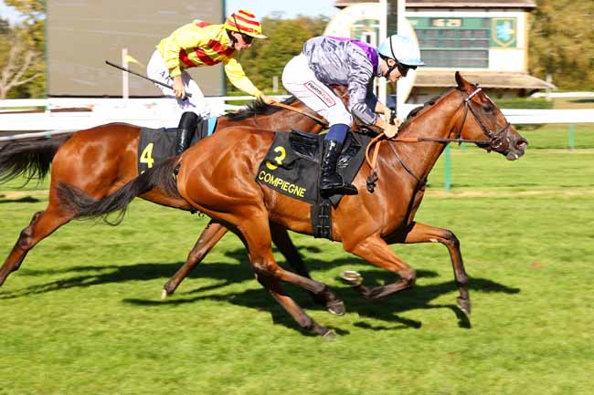 Photo d'arrivée de la course pmu PRIX DE VERBERIE à COMPIEGNE le Mardi 15 septembre 2026